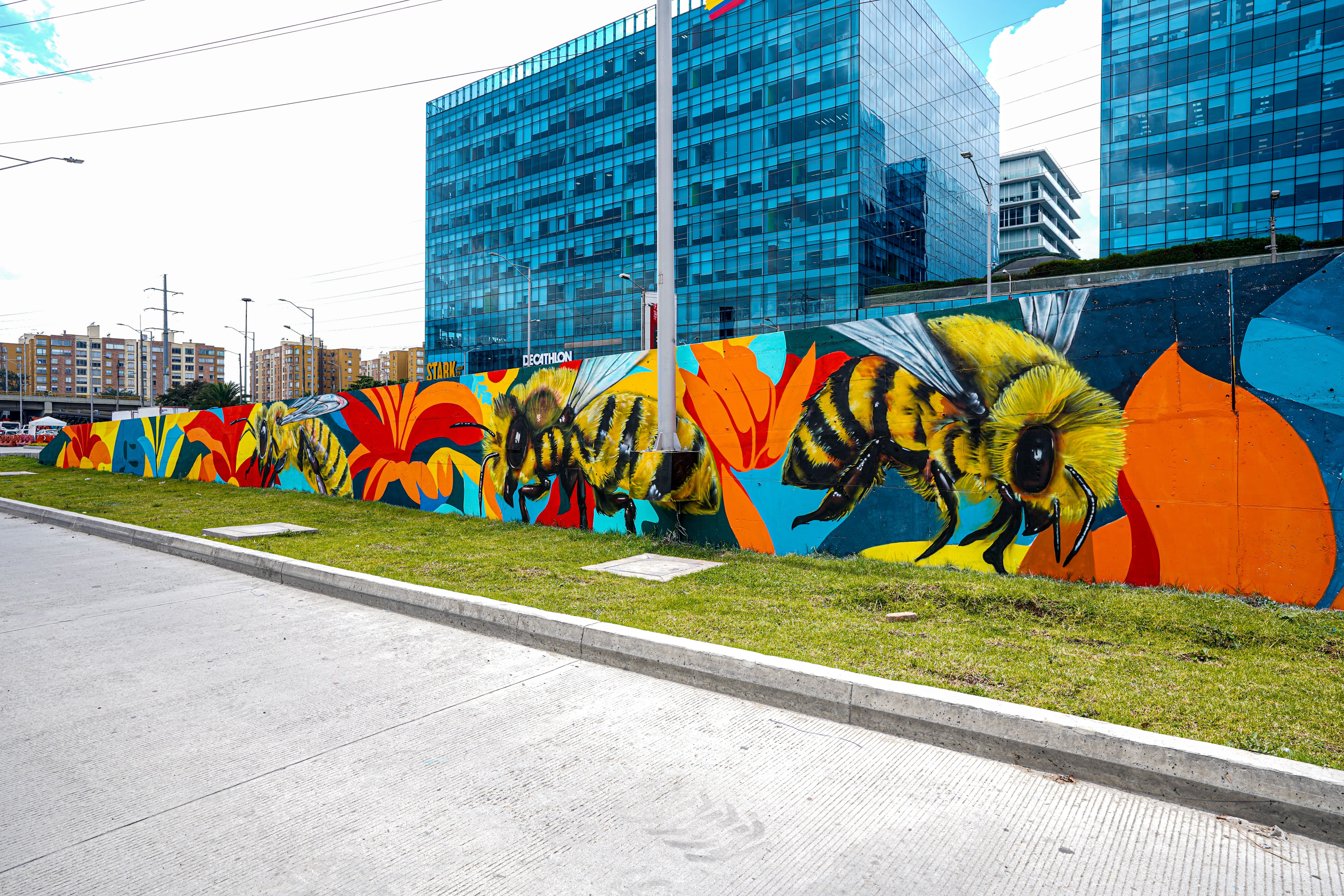 Imagen de Odoo y bloque de texto