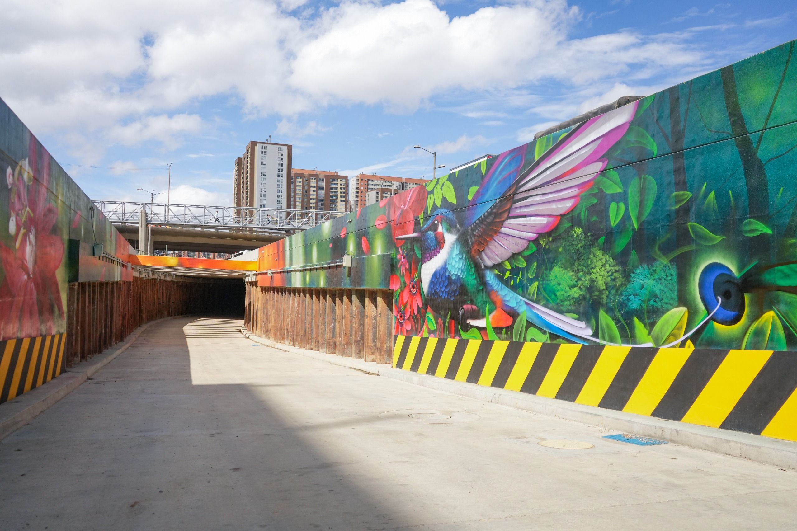 Rampa de acceso y salida del paso deprimido pintado con un gran mural de un colibrí y vegetación.